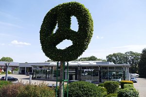 Mercedes-Benz-Niederlassung in Duderstadt, modernes Autohaus mit großer Glasfassade und Peter-Schriftzug, davor ein großer Strauch in Form des Mercedes-Sterns, gepflegte Grünanlagen und mehrere geparkte Fahrzeuge sichtbar.
