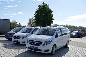 Mehrere wei&szlig;e �Junge Sterne� (Gebrauchtwagen) Mercedes-Vans in einer Reihe auf einem gepflasterten Autohaus-Gel&auml;nde bei blauem Himmel.
