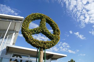 Detailaufnahme eines Baums, der in Form des Mercedes-Stern-Logos gestutzt ist, vor blauem Himmel mit wei&szlig;en Wolken.