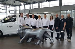Gruppenfoto des Teams im Peugeot-Autohaus in Göttingen. Neun Mitarbeiterinnen und Mitarbeiter in weißer und schwarzer Kleidung stehen hinter einer großen grauen Löwenskulptur, links ein weißes Auto mit Peter-Logo.