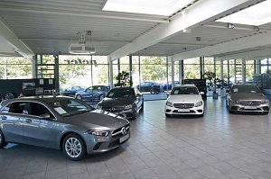 Innenansicht eines Mercedes-Benz-Autohauses mit hellen, gro&szlig;en Fenstern. Mehrere neue Mercedes-Modelle in Grau, Wei&szlig; und Schwarz stehen ausgestellt auf einem gefliesten Boden. Im Hintergrund sind B&auml;ume und parkende Autos drau&szlig;en zu sehen.