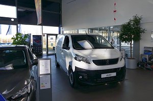 Heller Innenraum eines Autohauses mit einem weißen Peugeot-Transporter in der Ausstellung, grauem Pkw links, großen Fenstern, Pflanze im Topf und Verkaufsraum im Hintergrund.