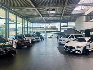 Innenansicht des Mercedes-Benz Autohauses mit großen Glasfronten, mehreren ausgestellten Fahrzeugen, darunter SUVs, Vans und ein weißer AMG. Heller, moderner Showroom mit viel Tageslicht.