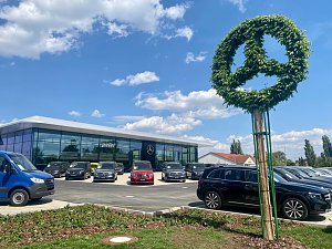 Mercedes-Benz Autohaus Peter in Wittenberg mit großer Glasfassade, davor verschiedene Mercedes-Fahrzeuge. Im Vordergrund ein Baum, kunstvoll in Form des Mercedes-Sterns gestutzt, blauer Himmel mit weißen Wolken.