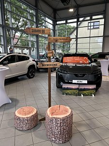 Autohaus von innen mit Holzwegweiser und Sitzs&auml;cken in Holzstumpf-Optik.



