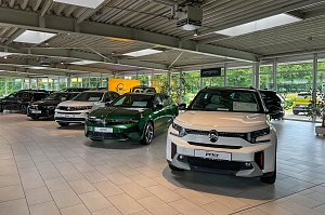 Der moderne, helle Showroom des Autohauses Peter in Halle Neustadt/ Göttinger Bogen mit einer Reihe ausgestellten Fahrzeugen auf hellem Fliesenboden.