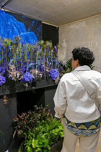 Eine Person von hinten in einer weißen Jacke, die in einem Innenraum eine kunstvolle Dekoration aus blühenden, blau-violetten Hortensien und langen floralen Elementen betrachtet.